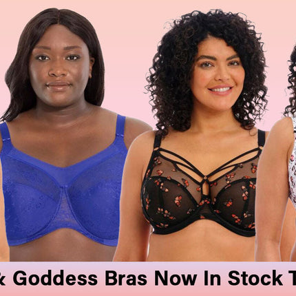 Collection image for: Home page