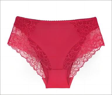 High Top Lace Women Panties - Swaggy Fit