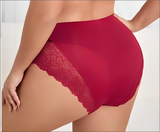 High Top Lace Women Panties - Swaggy Fit