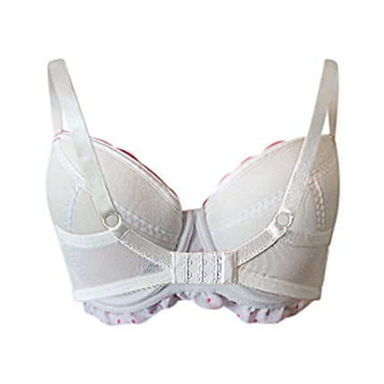 Lightly Padded Underwire Women Bra - Swaggy Fit