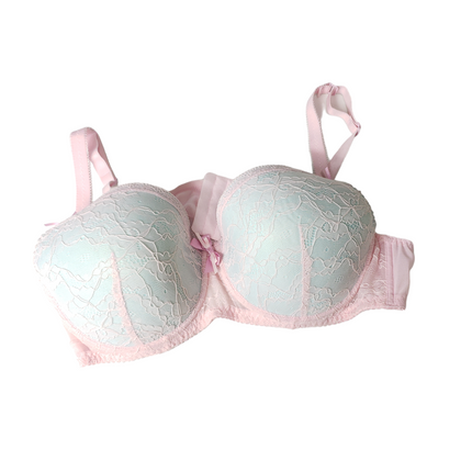 Lightly Padded Underwire Women Bra - Swaggy Fit