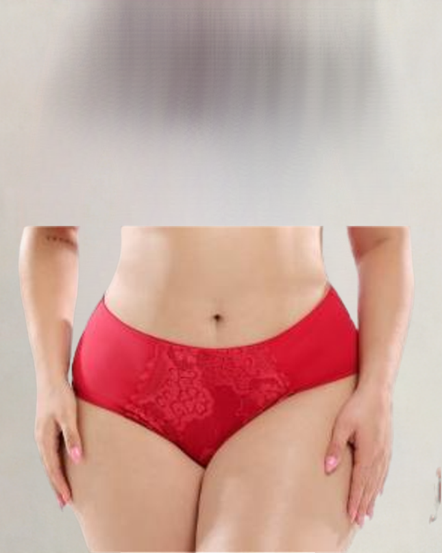 High Top Women Panties