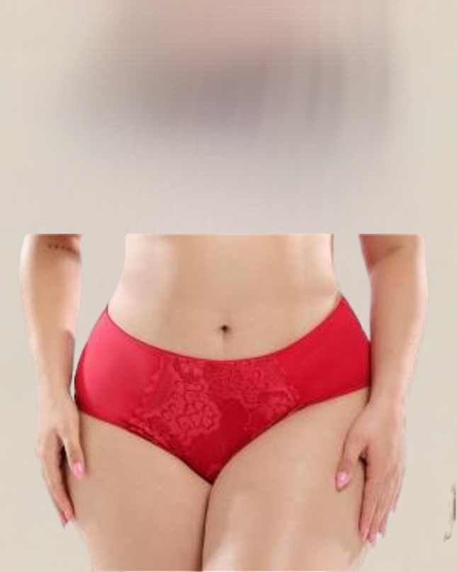 High Top Women Panties